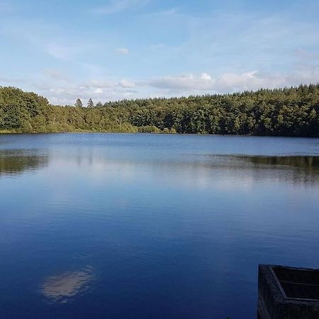 Gite N°4, En Pleine Nature, Frontalier Signy-le-Petit 外观 照片